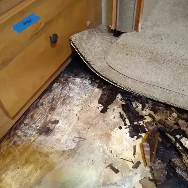 Best Wood Floor Water Damage Service in Kenilworth, PA